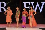 Model walk the ramp for Anupama Dayal Show at IRFW 2012 Day 1 in Goa on 28th Nov 2012 (101).JPG